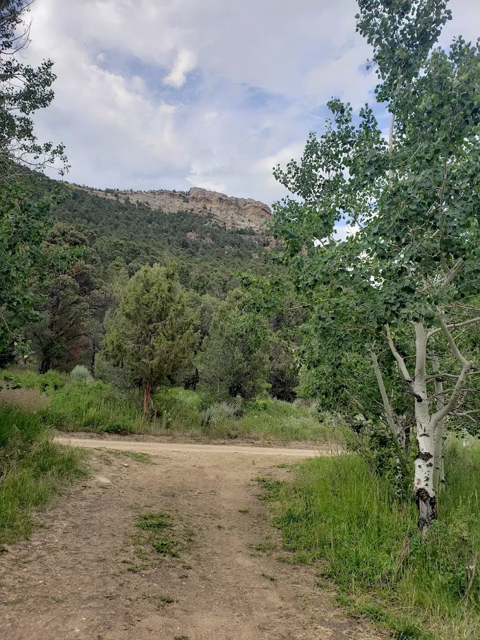 Clear Creek Campground 9