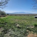 McClendon Spring Campground