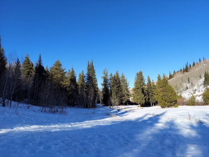 Lower Penstemon Campground 0