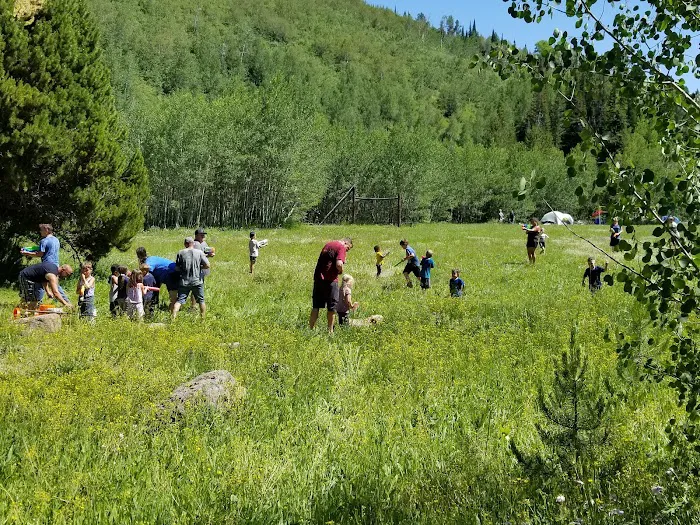 Lower Penstemon Campground 6