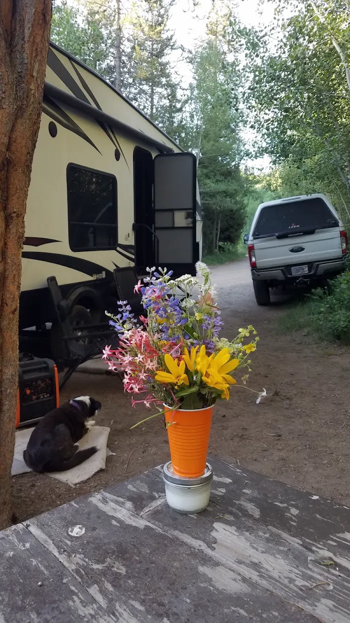 Lower Penstemon Campground 3