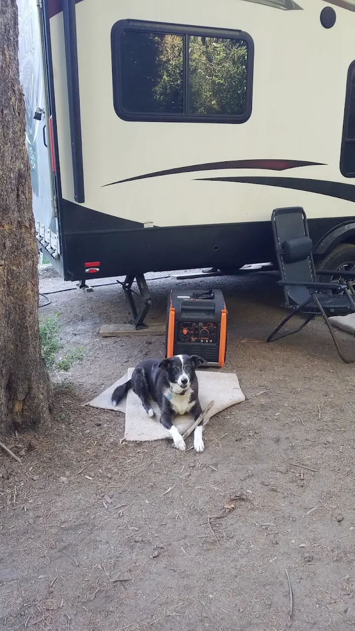 Lower Penstemon Campground 1
