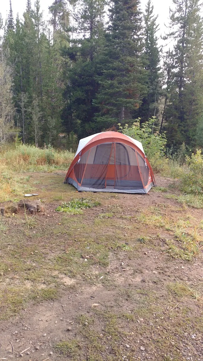 Upper Penstemon Campground 7