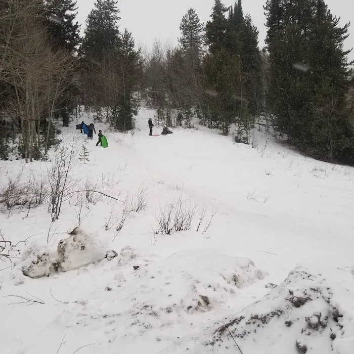 Upper Penstemon Campground 5