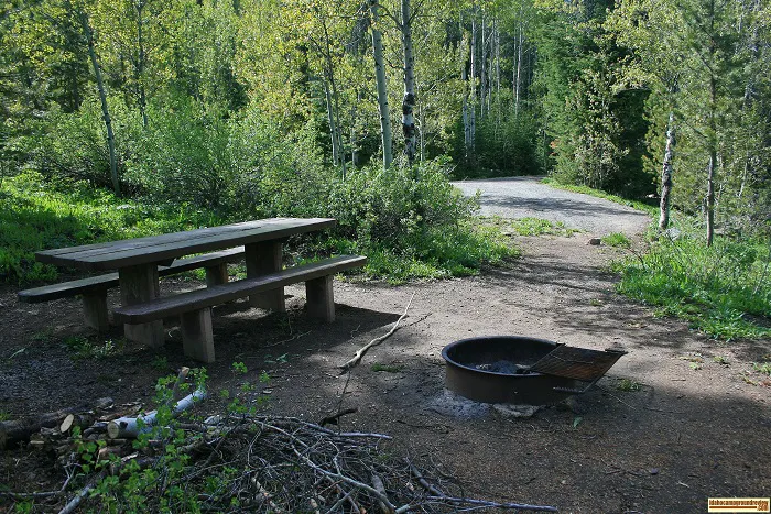 Upper Penstemon Campground 1