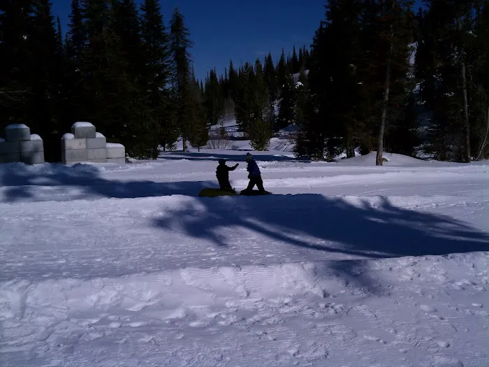 Upper Penstemon Campground 8