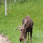 Mill Flat Campground