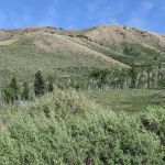 Mink Creek Group Campground