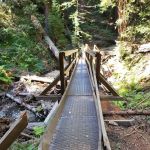 Alice Eastwood Group Campsite