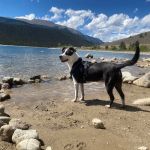 Clear Creek Reservoir Campground