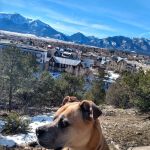 Fourmile Travel Management Area