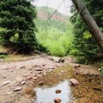 Silver Bar Campground