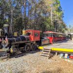 Okefenokee Swamp Park