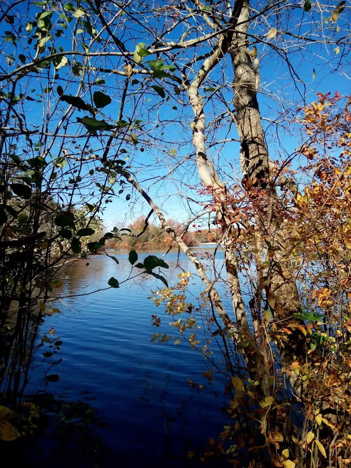 Jaggers Point Campground 5