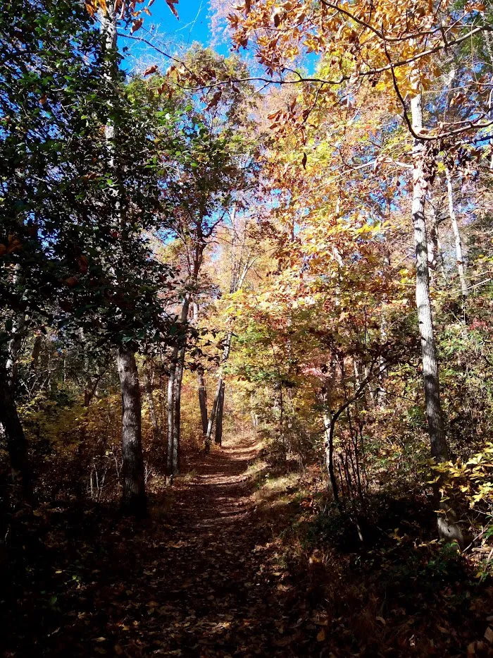 Jaggers Point Campground 4