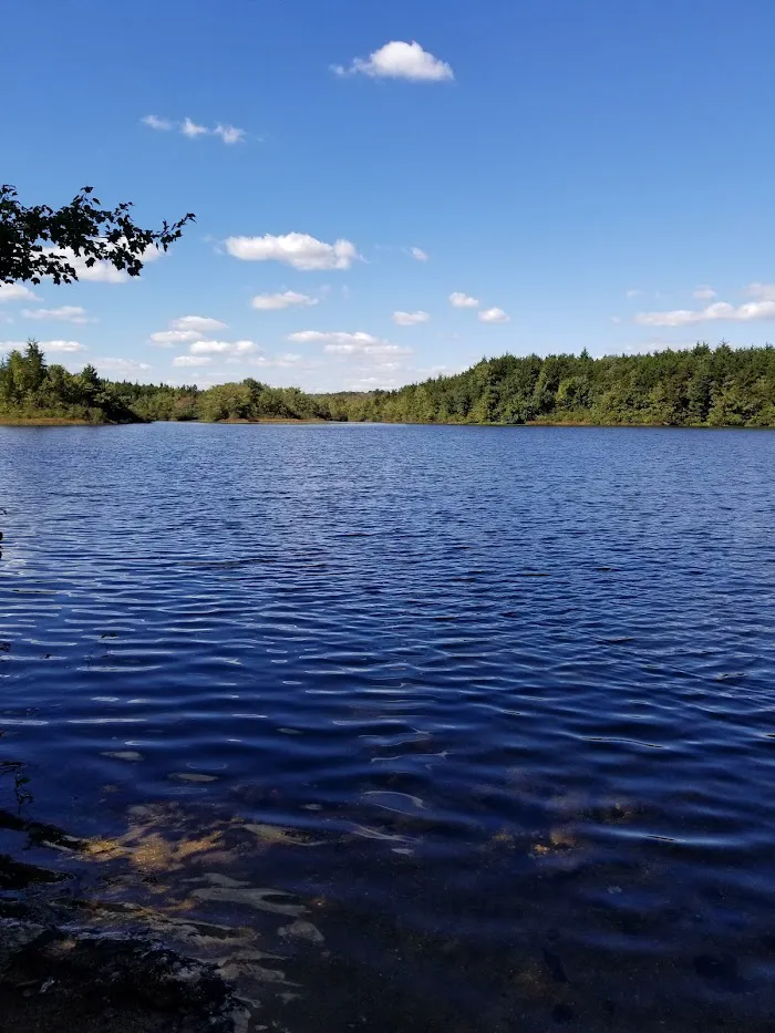 Jaggers Point Campground 2