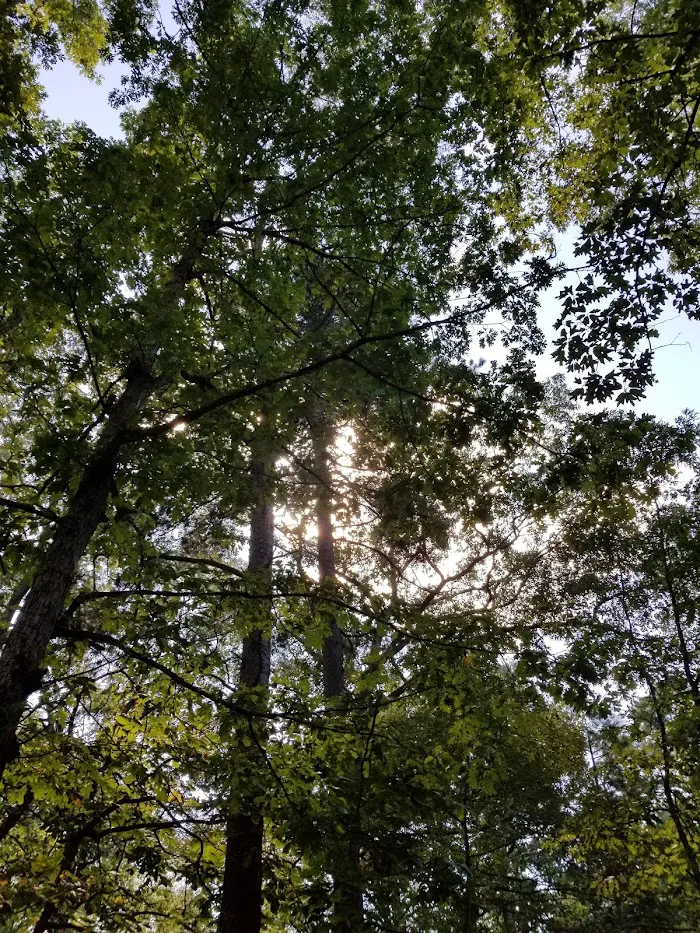 Jaggers Point Campground 1