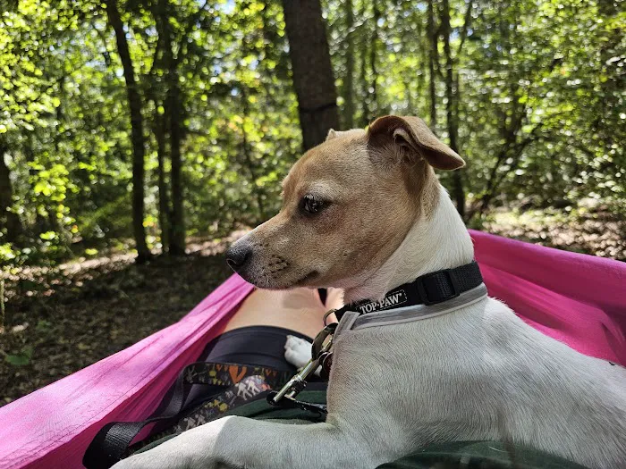Jaggers Point Campground 6