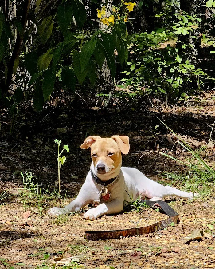 Jaggers Point Campground 7