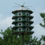 Belhaven Lake RV Resort