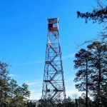 Wharton State Forest