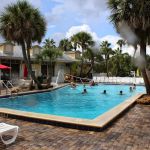 Encore Tropical Palms