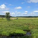 Prophetstown State Park