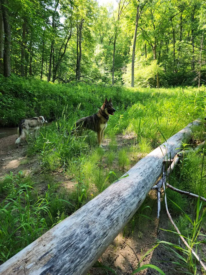 Ledges State Park 4
