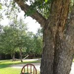 Buck's Crossing RV Sales & Resort