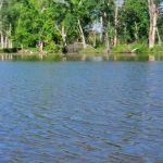 Potters North Campground