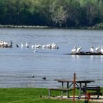 US Army Corps of Engineers