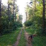Mound View Park & Campground