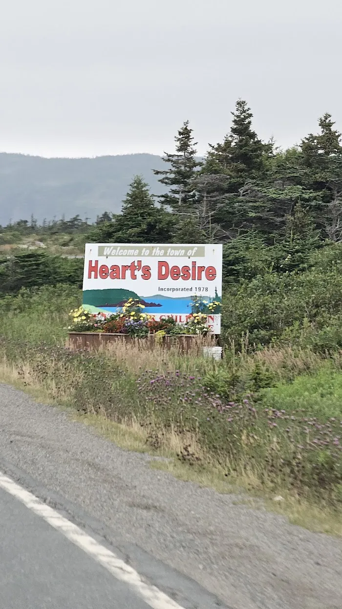 Camping Area 5