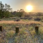 Ortega Flats Campground at Caspers Wilderness Park