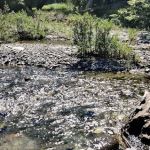 Camp Site #5 Arroyo Campground