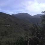 Ortega Oaks RV Park & Campground