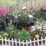 Palm View RV Park & Campground