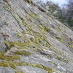 Oakoasis County Preserve Campsite