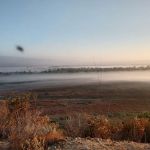 Tijuana River Valley Campground