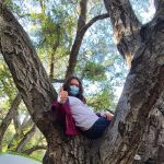 Malibu Creek SP Group Camp