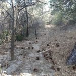 Idyllwild County Park Entrance