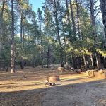 Red Canyon Campground