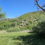 New Canyon Campground