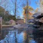 Gila Hot Springs and Campground