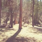 Rocky Canyon Campground