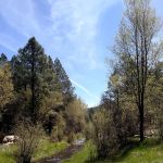 Black Canyon Campground - Lower