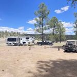 Comfort Well Dispersed Camping Area