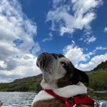 Lone Juniper Campground