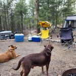 Elephant Rock Campground