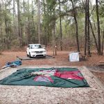 Jennings State Forest - Hammock Campground